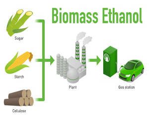 Biogasprozess in Biogasanlagen